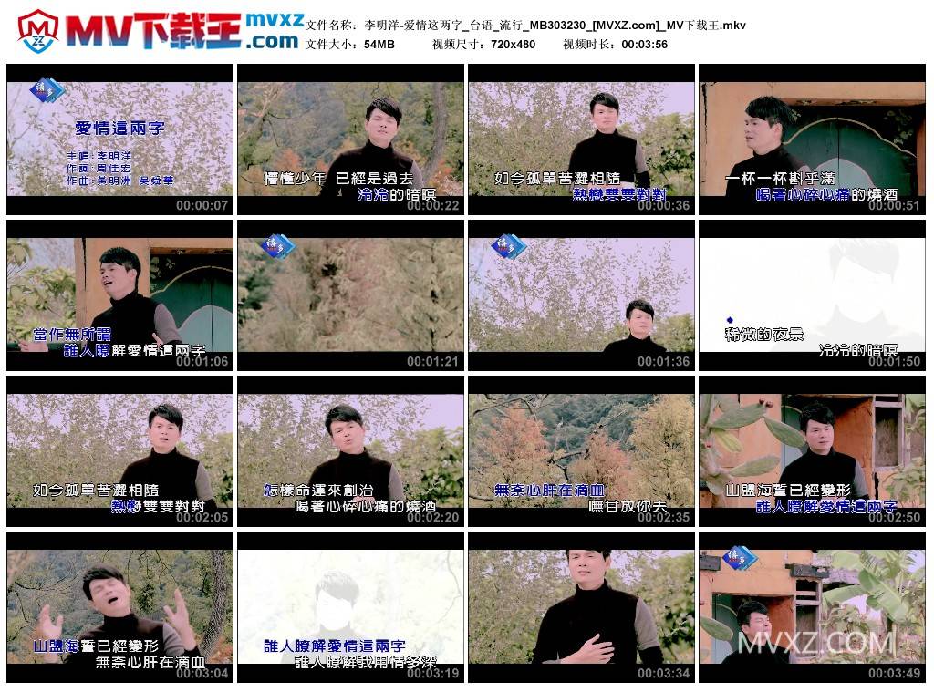 李明洋-爱情这两字_台语_流行_MB303230